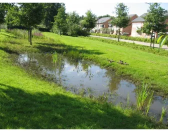 Figure 12: A wadi retaining water in Enschede 