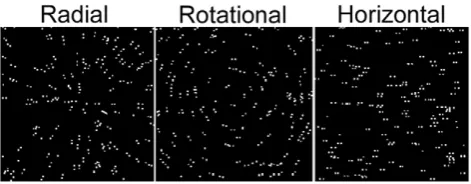 Figure 1. Schematic illustration of Glass patterns.