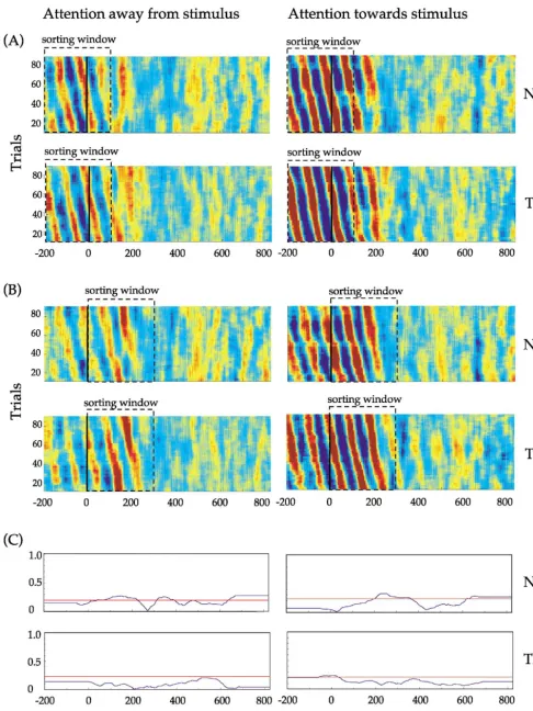 Fig. 8. Relationship between alpha (10 Hz) phase of the activation waveforms (n � 100) of the IC representing parieto-occipital (PO) activity