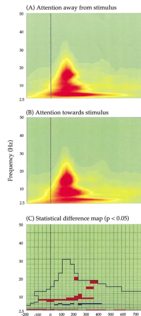 Fig. 4. Group analysis (nconditions. Every pixel that met the criteria (the area below the dark line) onthe median scalograms of the IC representing activity in Brodmann’s area 17was statistically evaluated using a two-tailed Wilcoxon signed-rank (nonpara-