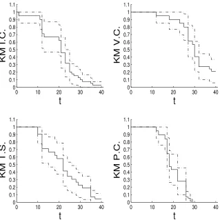 Figure 1: Kaplan-Meier estimates of the survival probabilities for the four groups