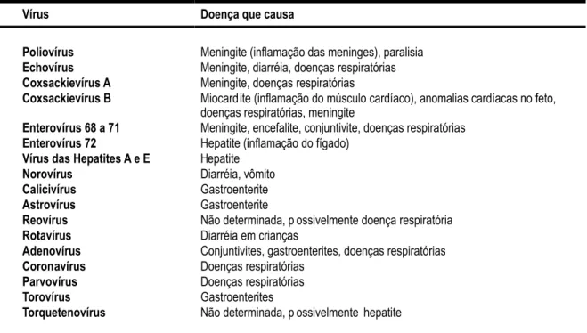 Tabela 1: Vírus entéricos com possível transmissão por água e respectivas doenças causadas em humanos