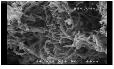 Fig. (4). Epoxy and epoxy /MWCNTs composite specimen shape for mechanical test,  