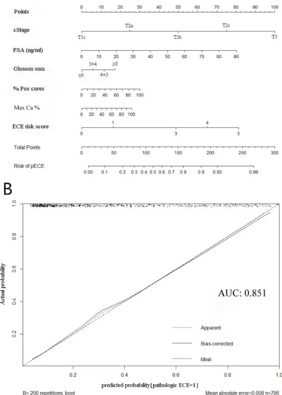 Figure 1: A.  The updated nomogram predicting SS probability of ECE;  B. Calibration of the nomogram (200 bootstrap re-samples)