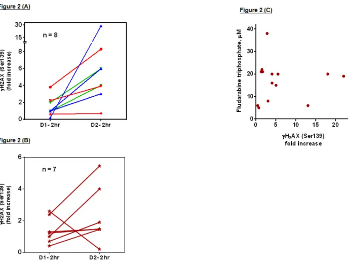 Figure 2: A.  DNA damage response measured by H2AX phosphorylation: Blood samples were obtained pre- and 2 hrs post-therapy on  day 1 (bendamustine alone) and day2 (bendamustine with fludarabine) and CLL lymphocytes were isolated by ficoll gradient method 
