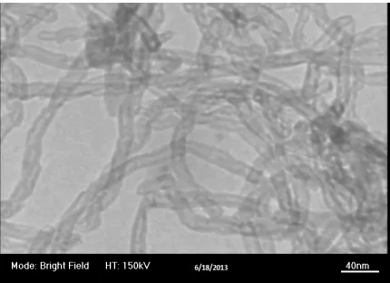 Fig.(2) TEM for MWCNTs. 