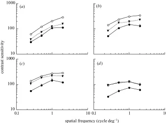 Figure 2. Contrast sensitivity for the directional discrimination of luminance-modulated gratings following adaptation to ablank yellow ﬁeld (open symbols) or isoluminant red–green gratings (ﬁlled symbols) for observer A.W