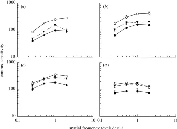 Figure 3. Contrast sensitivity for the directional discrimination of luminance-modulated gratings following adaptation to ablank yellow ﬁeld (open symbols) or isoluminant red–green gratings (ﬁlled symbols) for observer S.J.A