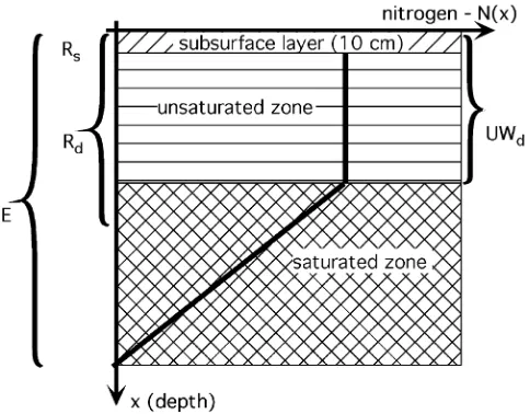 Fig. 2.Calculations of nutrients in the sediment available for rootuptake. A linear decline in nutrient concentrations is assumed