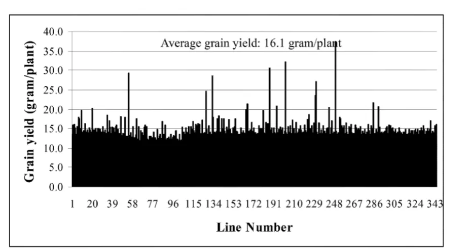 Fig. 1 Grain yield screen of 16705 Ds insertion lines. The screen was carried out in south of China