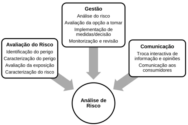 Figura 2 – Relação entre as etapas da análise de risco (Antão,2013). 
