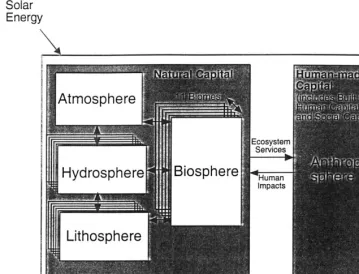 Fig. 1. Basic structure of GUMBO. The hydrosphere, lithosphere, and biosphere are reproduced for each of 11 biomes