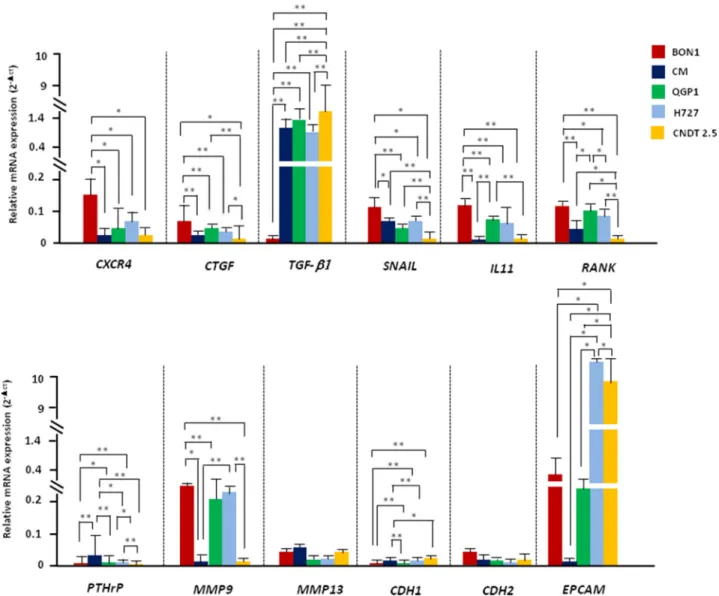 Figure 2: NET cell lines differ in their baseline EMT-related transcriptional profile