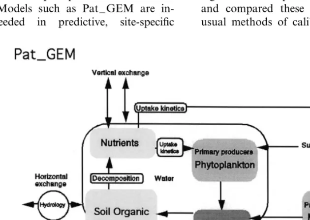 Fig. 3. Material ﬂows between ecosystem components as modeled within a Pat–GEM unit.