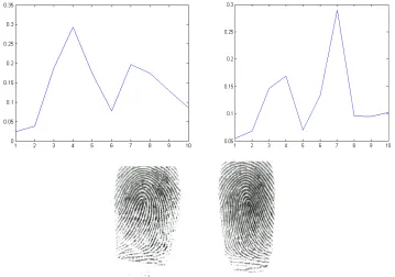Figure 4  Fingerprint image and its orientation image  