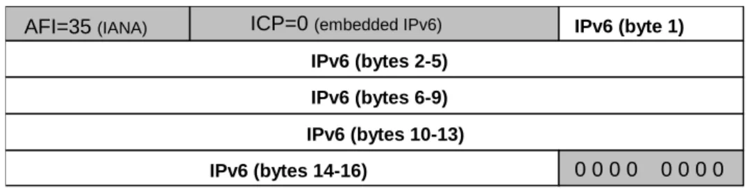 Figure 6A: IPv6 address embedded in NSAP structure in RANAP/RNSAP/NBAP. 