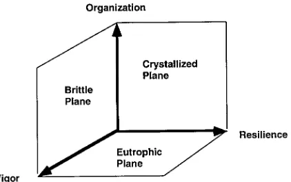 Figure 3. A three-dimensional plot of system vigor, organization,and resilience. Each of the planes formed when one component iszero are also labeled.