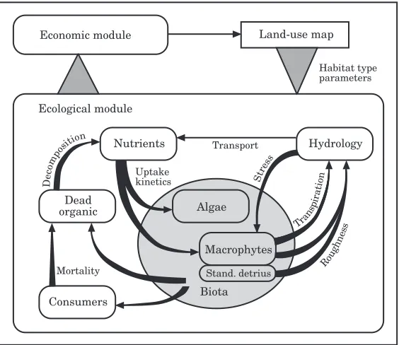Figure 3.Major modules and ecological processes that are considered in the Patuxent watershed model.The model integrates knowledge about the physical, ecological and socio-economic subsystems on thewatershed, and helps explain the interaction and feedbacks between individual variables and processes.