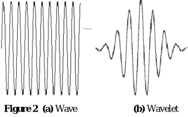 Figure 2  (a)  Wave                       (b) Wavelet 