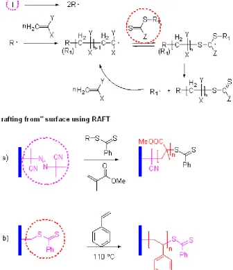 Figure 8. Scheme of Reversible Addition Fragmentation chain Transfer polymerisation (RAFT) 