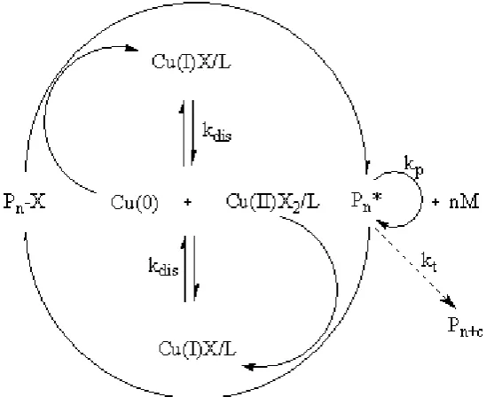 Figure 10. Out-sphere electron-transfer mechanism of Copper Mediated Living Radical Polymerisation according to Percec