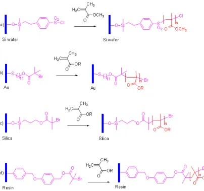 Figure 11. Typical examples of polymer brushes grown by ATRP. 