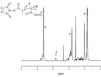 Figure 25. 1H NMR of PMMA with succinimide ester as alpha terminal group. 