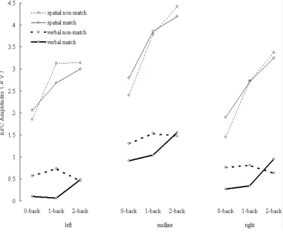 Figure 2-5. EPC amplitudes elicited during spatial (thin lines) and verbal (thick lines) tasks
