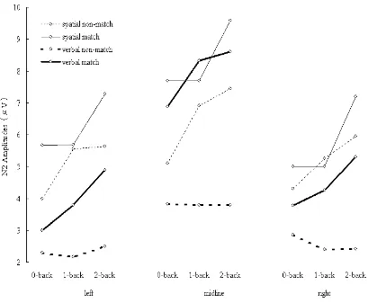 Figure 2-7. N2 amplitudes elicited during spatial (thin lines) and verbal (thick lines) tasks