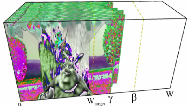 Figure 3: Our cropping and warping process. The target video cube is depicted in pink