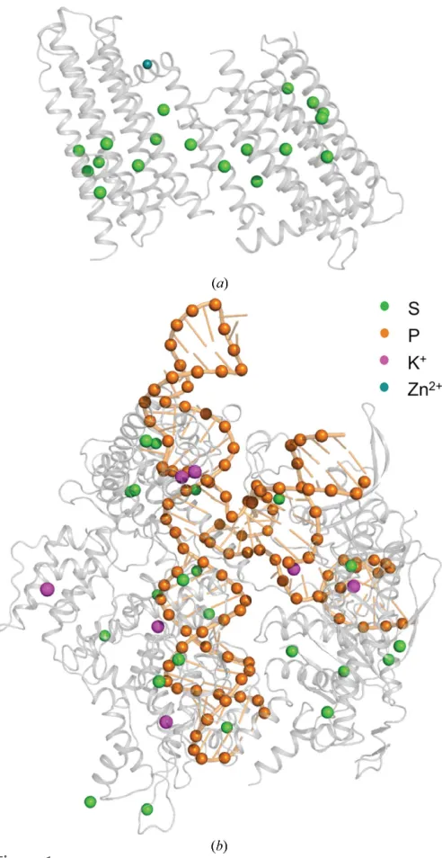 Figure 1Native SAD structures. (