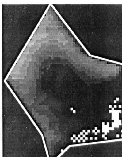 Fig. 5. Test results with the cell equilibrating algorithm, �t=0.5 day. Model stability has very much increased, but the propagationrate went down.