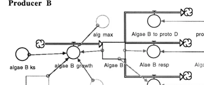 Fig. 4. The conceptual diagram and growth equation for a primary producer which is representative of the bacterial species as well,and a protozoan which is representative of all species in higher trophic levels.