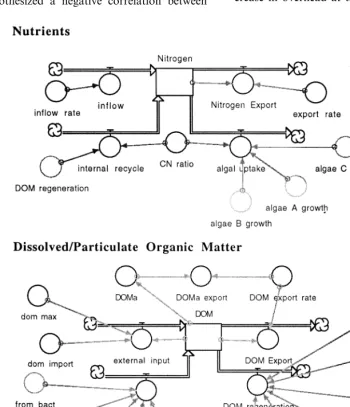 Fig. 5. The conceptual diagram of the nutrient and dissolved/particulate organic matter components indicating the major inputs andoutputs to and from these components.