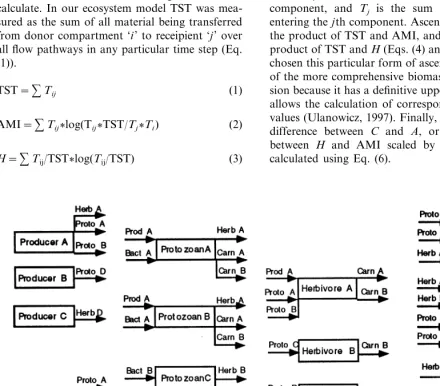 Fig. 3. The complete network of living components in the general ecosystem model. The various levels of specialization are depictedas well.