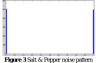 Figure 3 Salt & Pepper noise pattern 