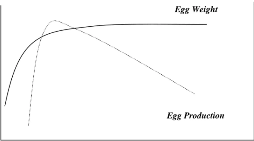 Figure 1: Optimal age of the laying hen 