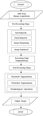 Fig 1 :  Steps Of Tumor Detection 
