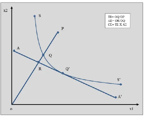 Figure  ‎ 2.4 Technical and Allocative Efficiency (Input-oriented) 