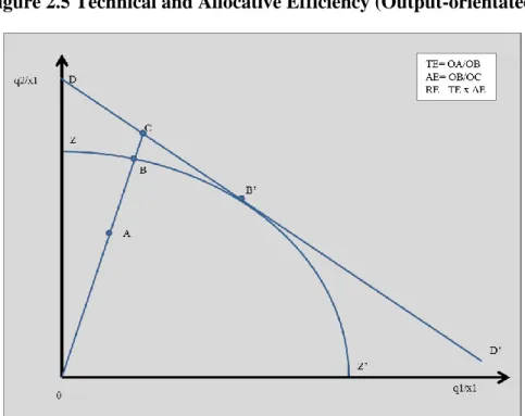 Figure  ‎ 2.5 Technical and Allocative Efficiency (Output-orientated) 