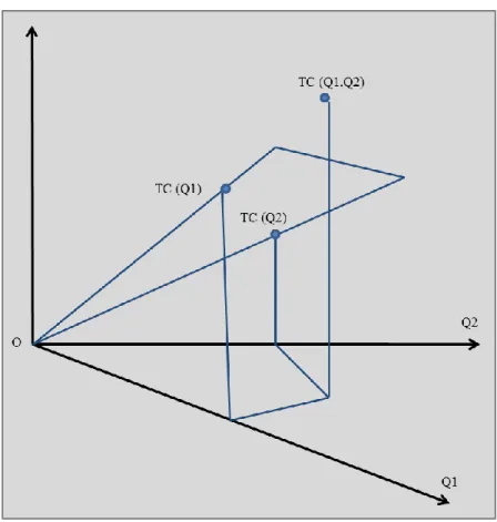 Figure  ‎ 2.9 The Concept of Economies of Scope 