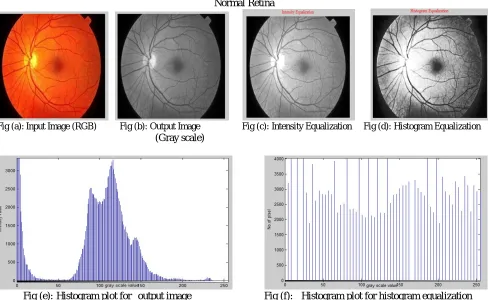 Fig (a): Input Image (RGB)        Fig (b): Output Image               Fig (c):                                                            (Gray scale)         