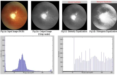 Fig (a): Input Image (RGB)                Fig (b): Output Image                                                              (Gray scale)      
