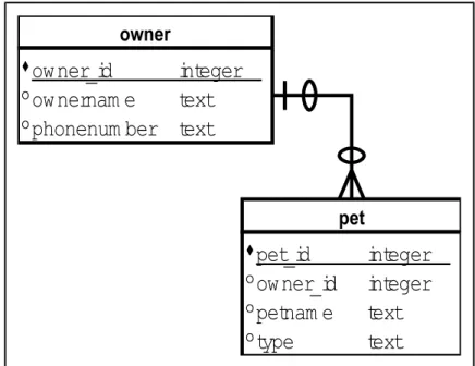 Illustration 39: Entity Relationship Diagram of Chapter Databaseowner