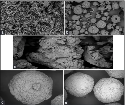 Fig. 7: Scanning electron microscopy images of (a) ezetimibe, (b) Kollidon VA64, (c) solid dispersions,(d) sugar spheres, (e) coated spheres