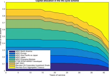 Figure 9: lifecycle capital allocation over time. 
