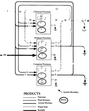 FIG. 5. Flows and stocks of five different products in a hypothetical ecosystem with three internal processes
