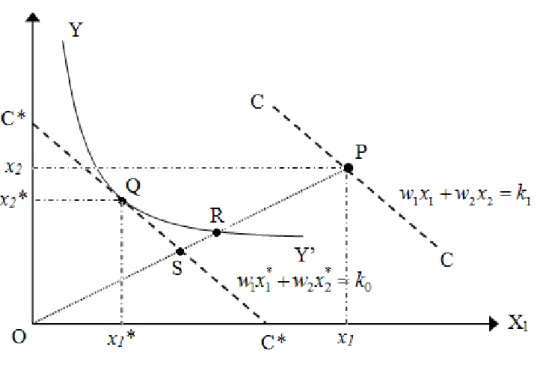 Figure 2.1 Technical, Allocative and Cost Efficiency   