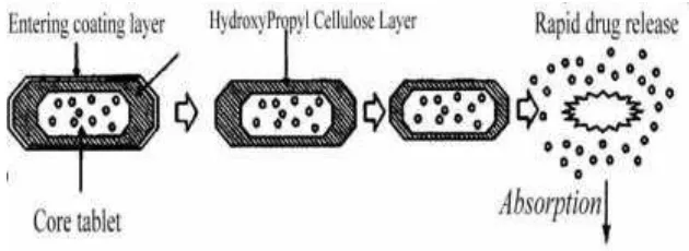 Figure 2: Design of enteric coated timed-release press coated tablet 