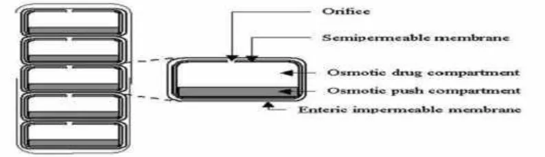 Figure 3: Cross-Section of the OROS-CT Colon Targeted Drug Delivery System 